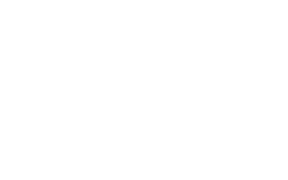 Jade Inc.